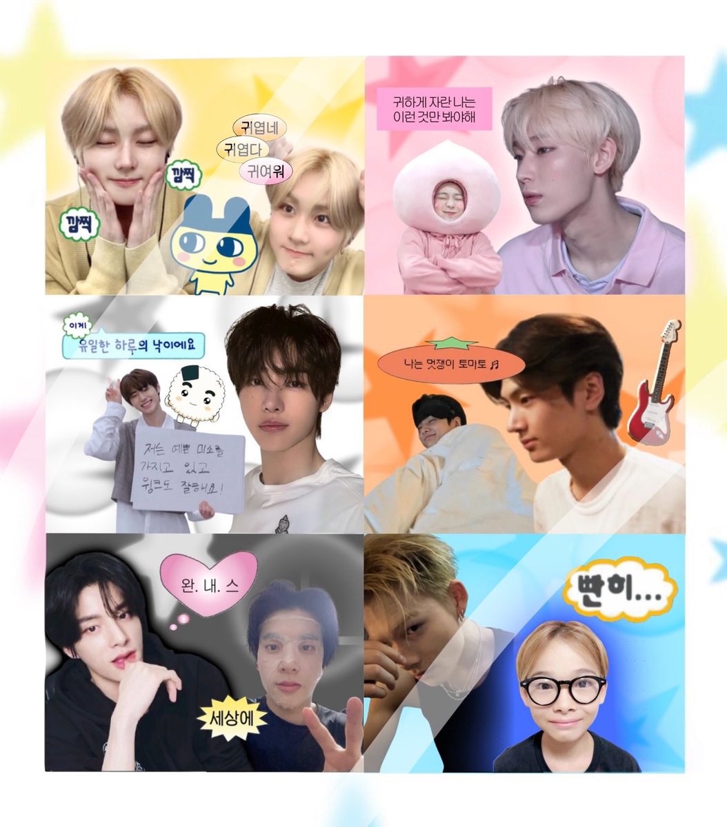 양송이 tweet media