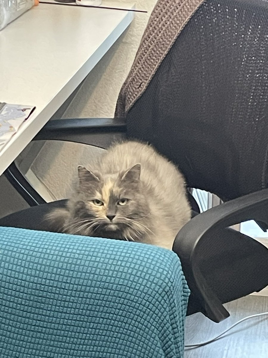 фосфатный остаток tweet media