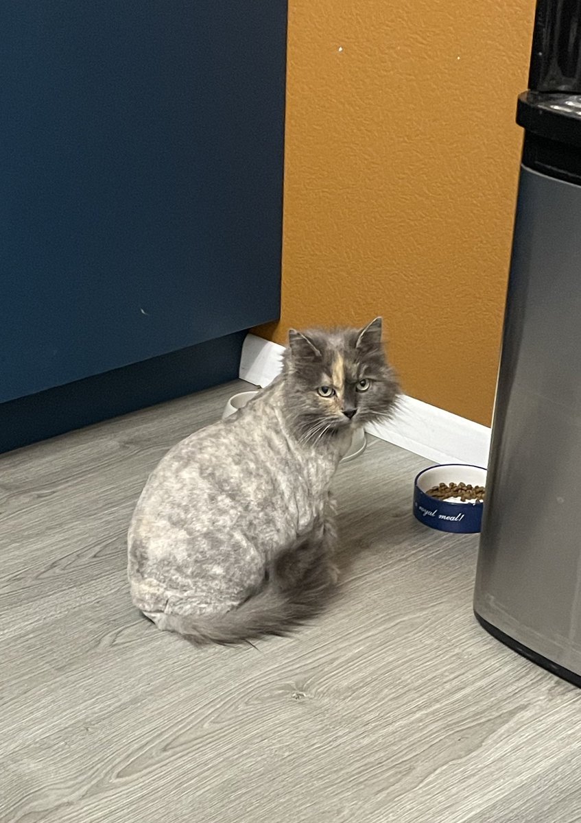 фосфатный остаток tweet media