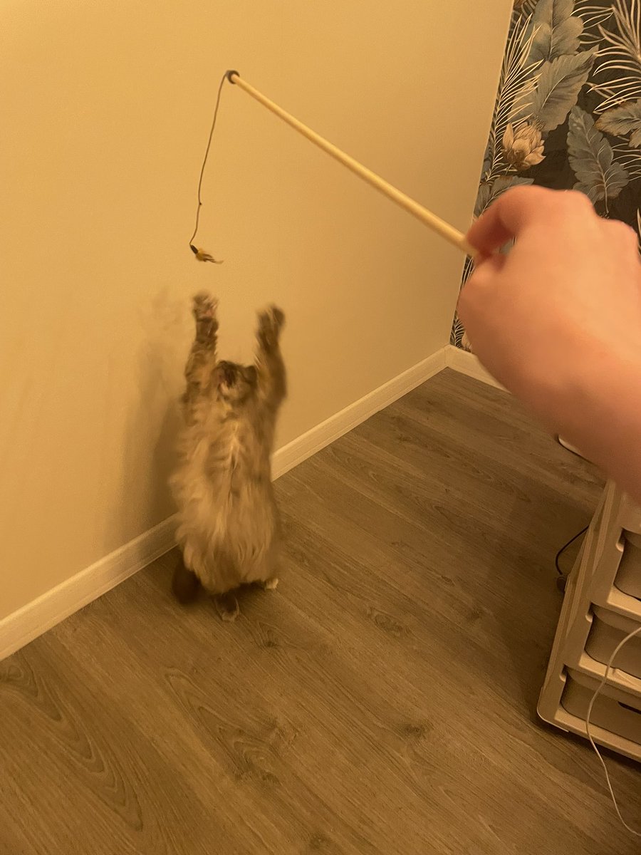 фосфатный остаток tweet media