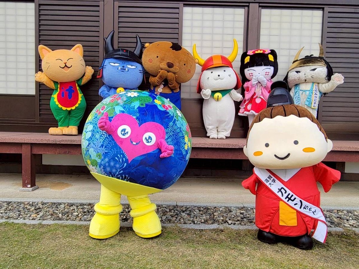 いいのすけ【公式】 tweet media