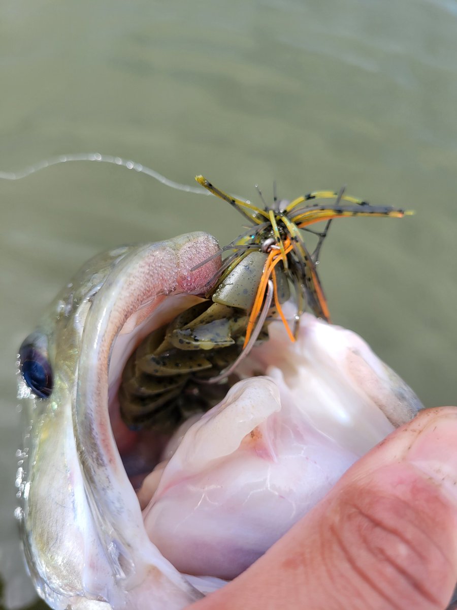 E06201127's tweet image. 今日はバイトシーンがたくさん見れました😆
デロフラ4の発売は5月です☀️
#上野沼
#engine 
#デロフラ