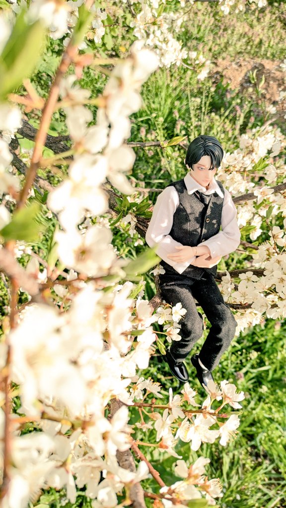 シャム❖❂ tweet media