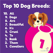 kidd79 | 🇬🇪🇷🇺🇬🇧🇸🇰🇩🇪🇨🇵🇮🇹 tweet media