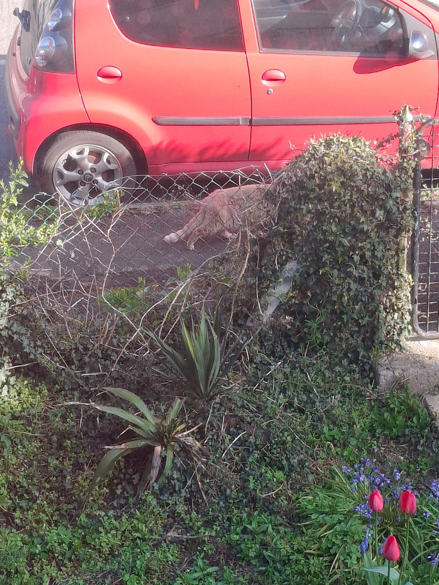 Scott Fry tweet media