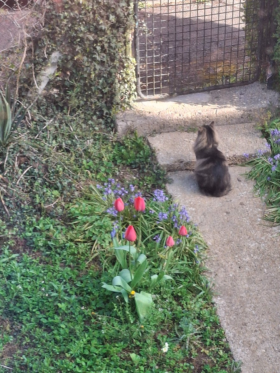 Scott Fry tweet media