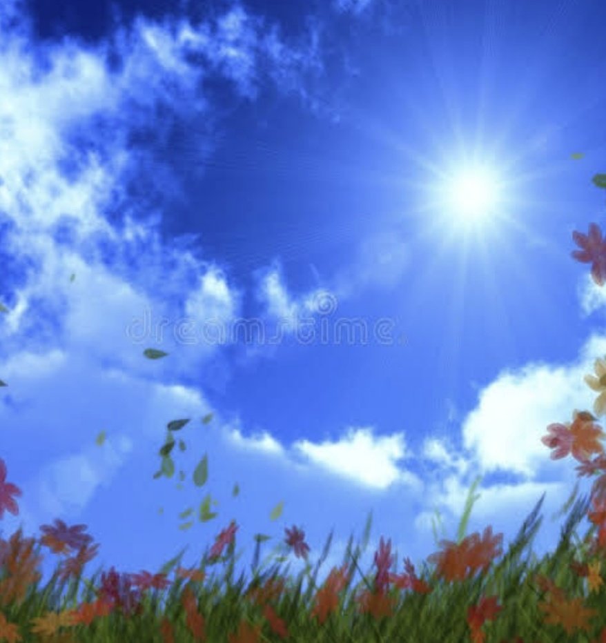 🌸Gorgeous 🌸 tweet media