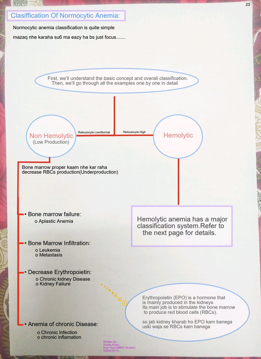 An amazing aneama Notes. Make your concepts boost....