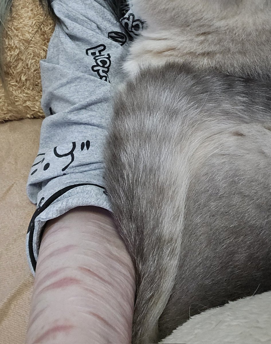 遺灰3.0 tweet media