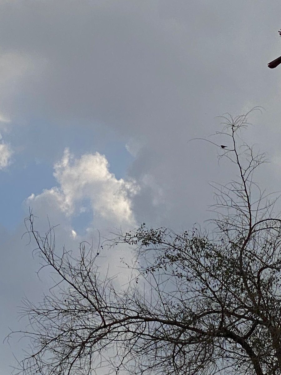 Skymayaa1's tweet photo. 💦 🌤️✨

#sky
#Clouds https://t.co/eixUYBB0Ka