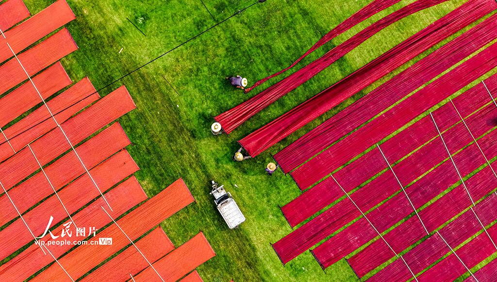 人民日報  People's Daily tweet media