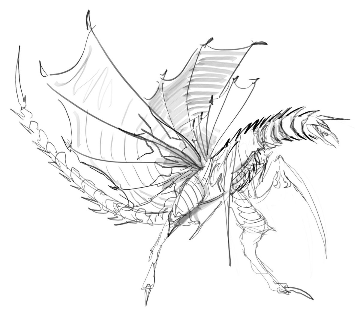 Sir Pennyped 🦭 tweet media