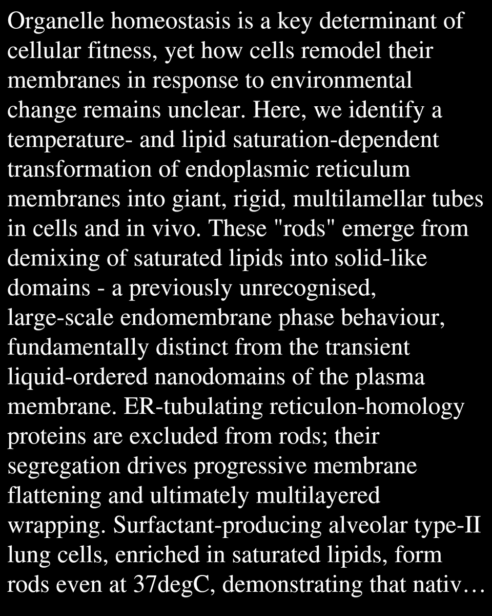 Cell Biology tweet media