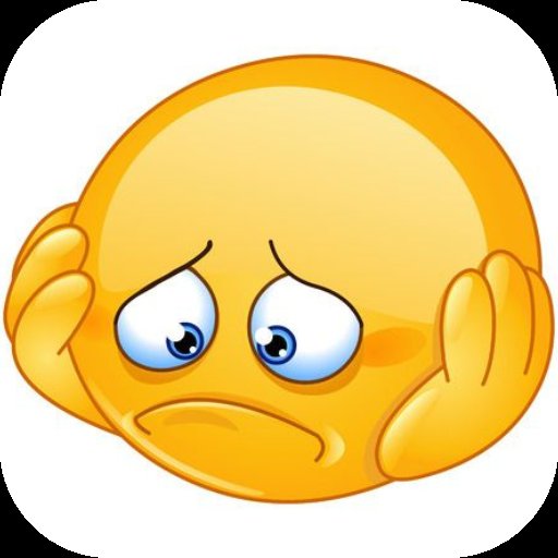 Shiba 🐾 tweet media