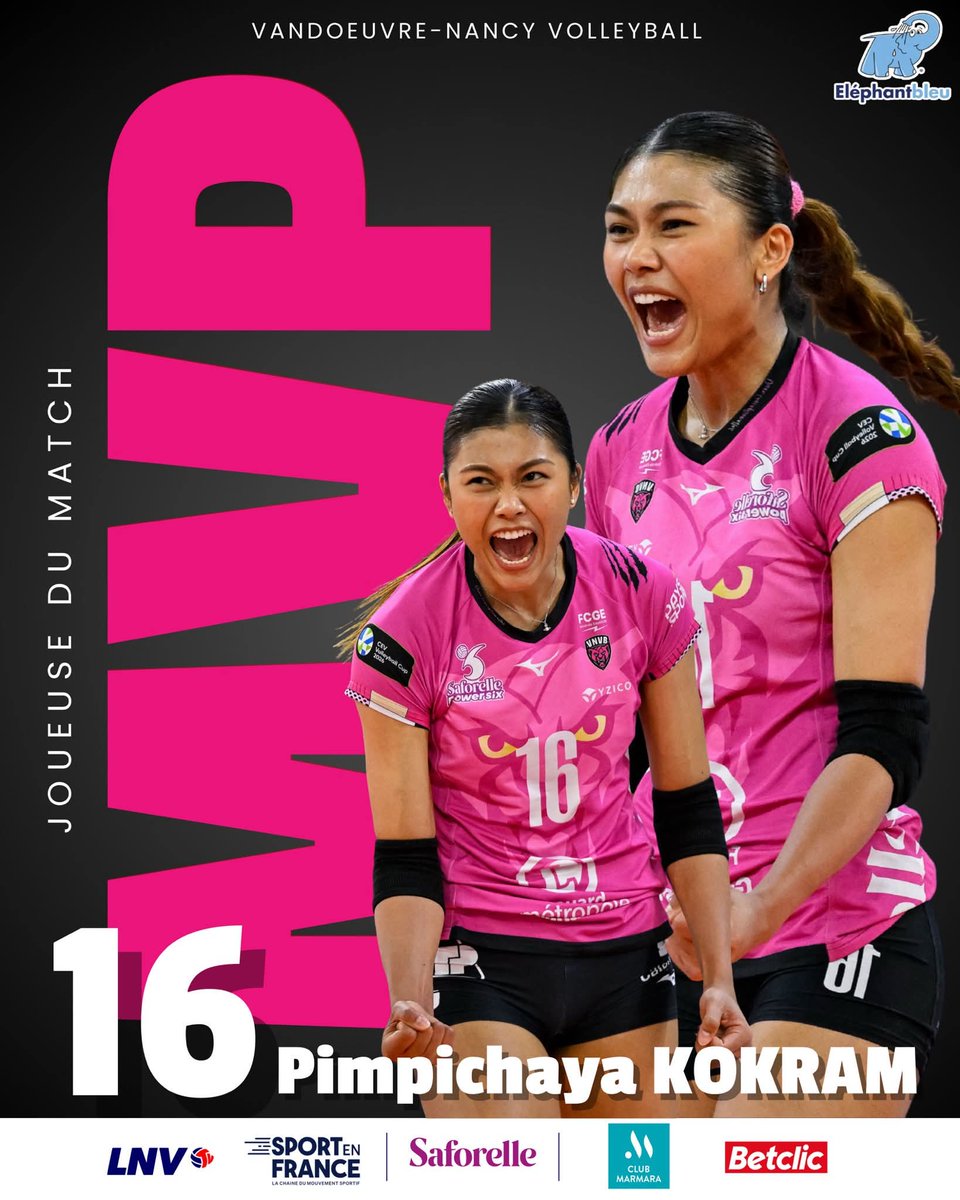 Will of the D tweet media