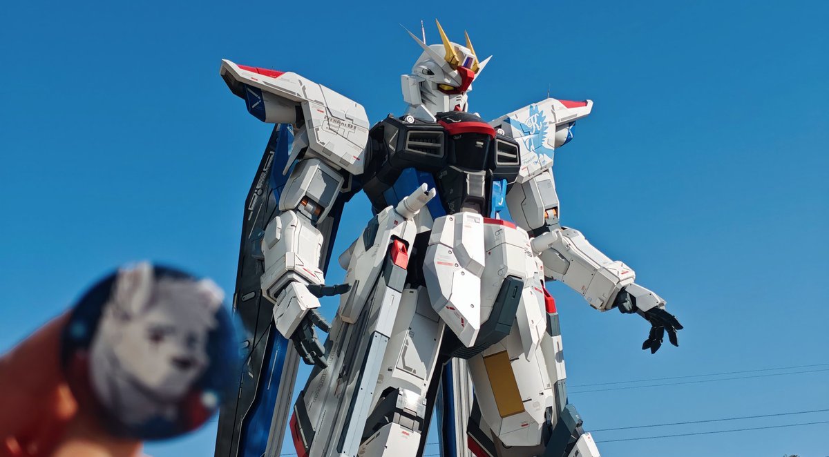 食饕石 tweet media