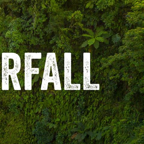 RepPlusUK's tweet image. Lost in the wild at Fuipisia Waterfall 🌿
No signal, just soul reset.

#DiscoverBeautiful 
#BeautifulSamoa #Waterfalls #BucketListDestination #RepPlusclient