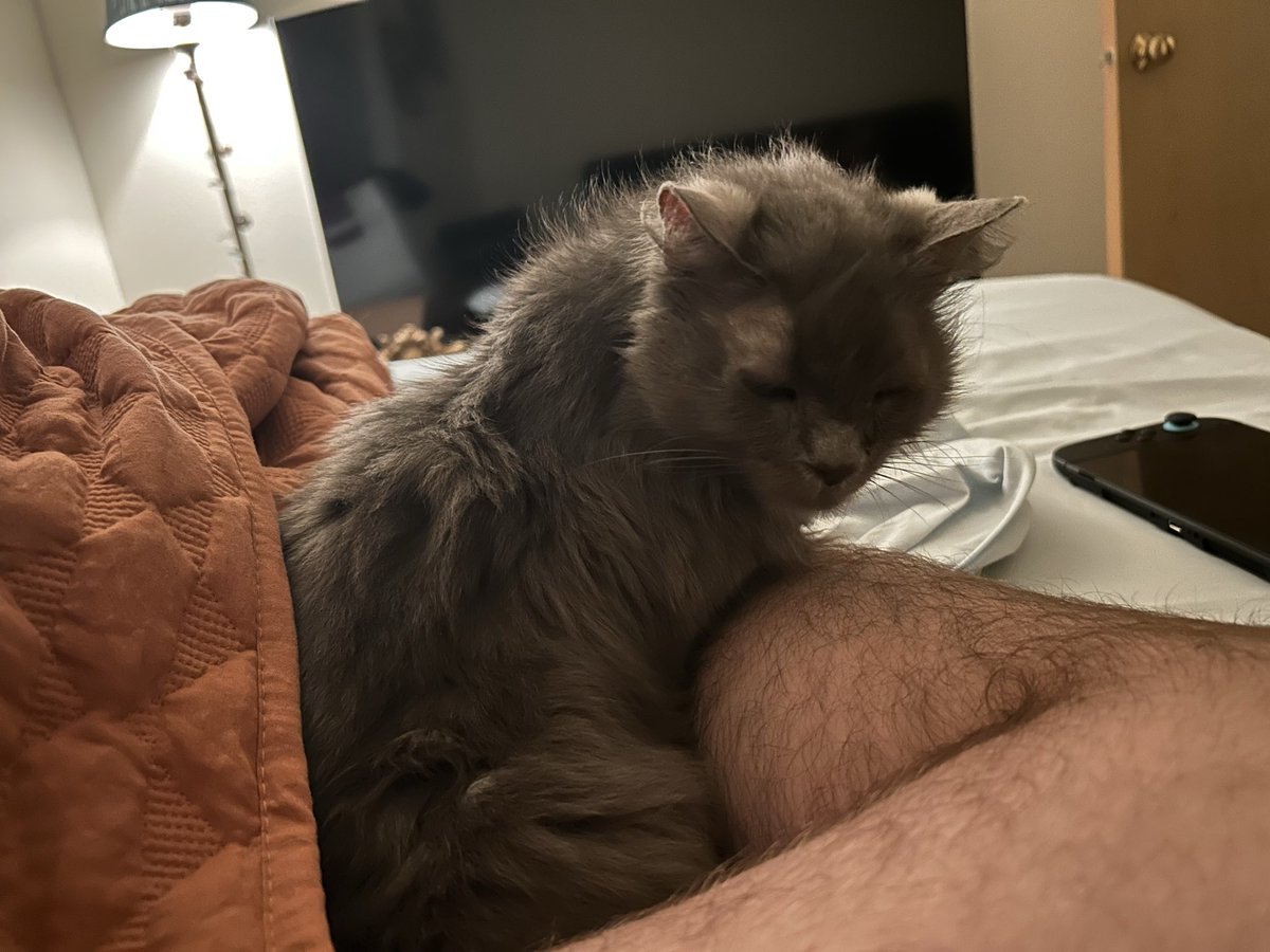 k_hoog's tweet photo. rare cryptid sighting https://t.co/HsRRjkgxxF