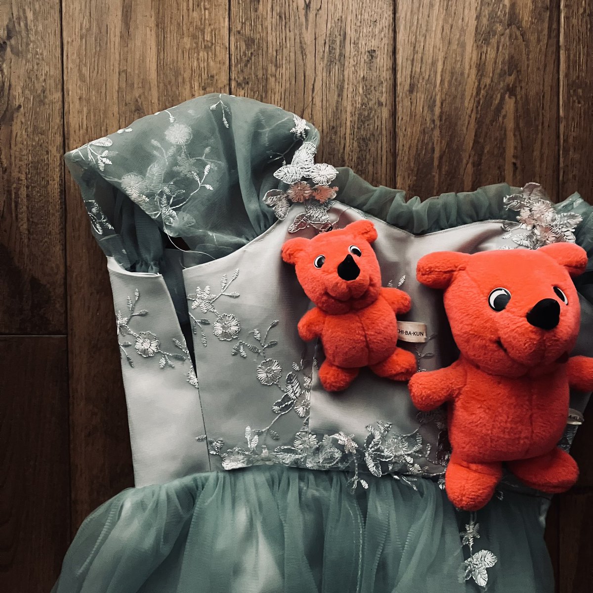 千葉室内合唱団Vox Aeterna @団員募集中！ tweet media