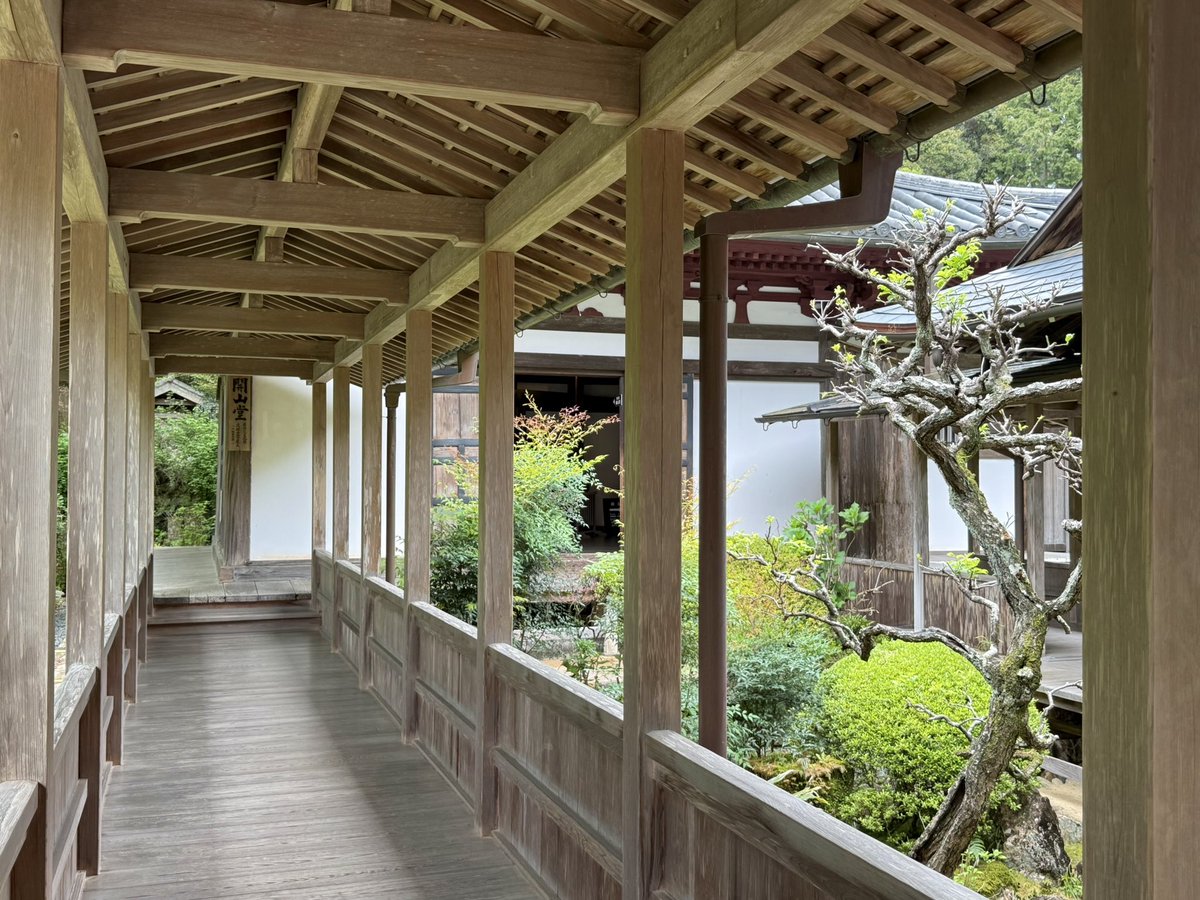 あさみん🏯 tweet media