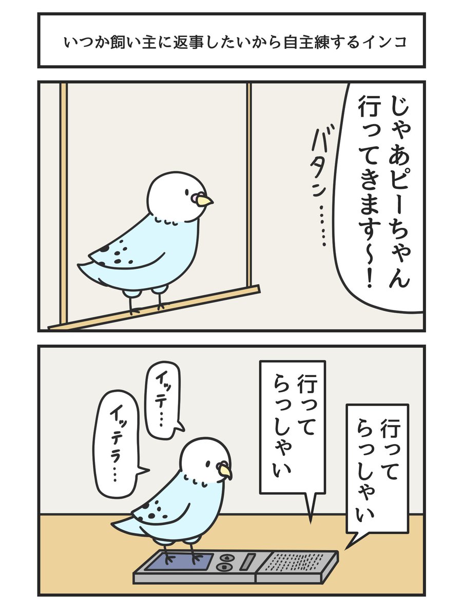 いつか飼い主に返事したいから自主練するインコ 