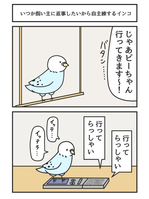 いつか飼い主に返事したいから自主練するインコ 