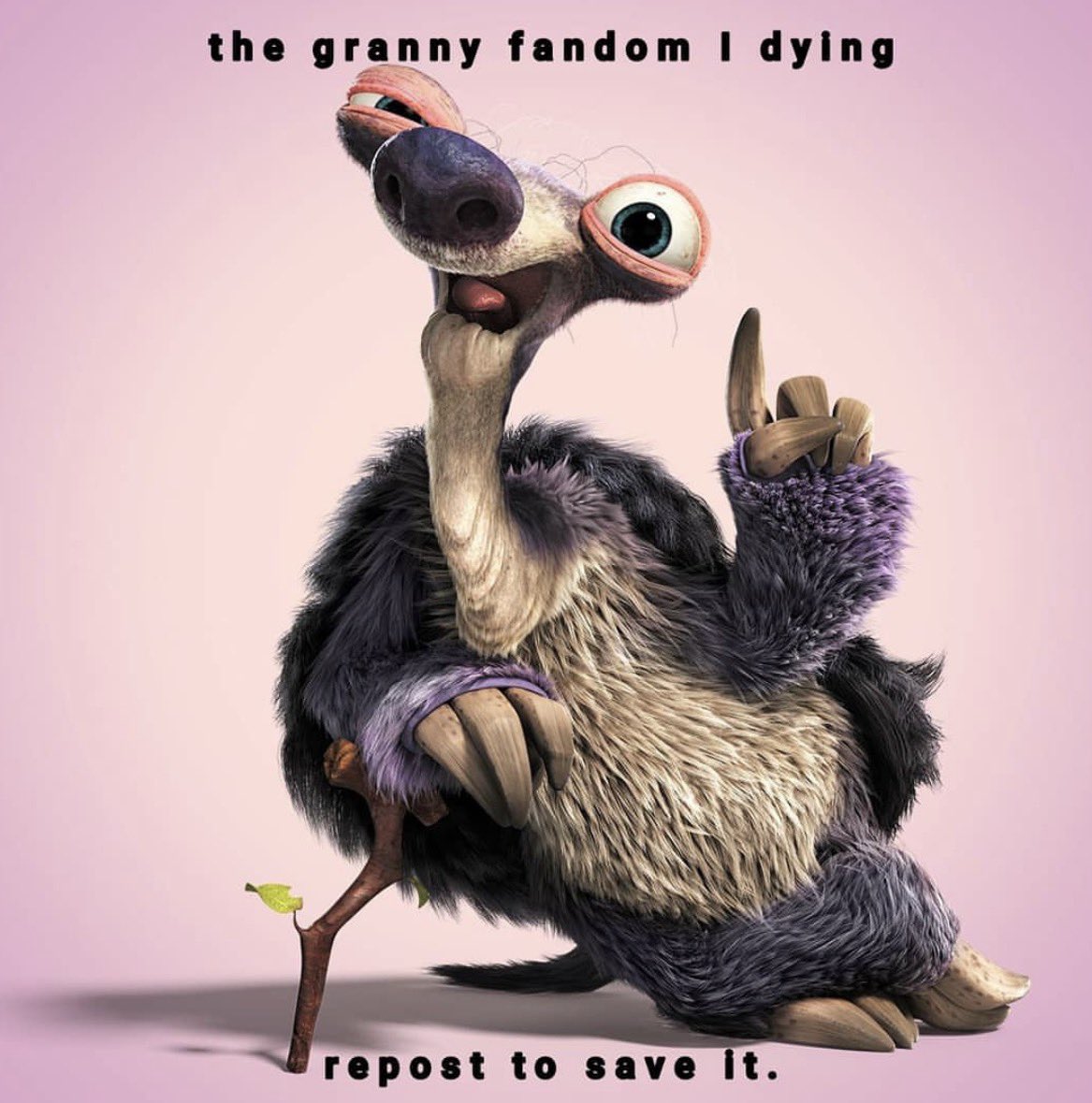 kipzo🐾💗 tweet media