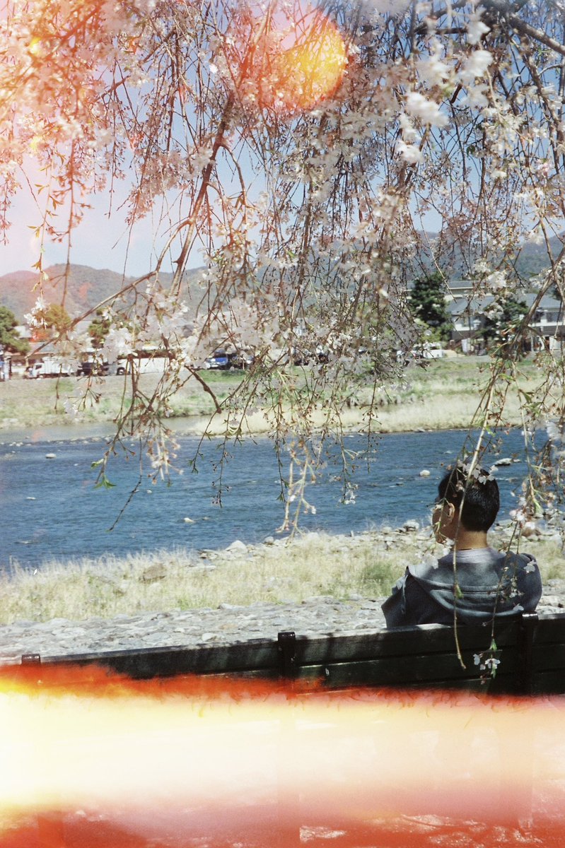 loeyndoie's tweet image. always ask for your film rolls to be hand checked at the airport 😔😔😔😔 rip kyoto roll 😔😔😔😔