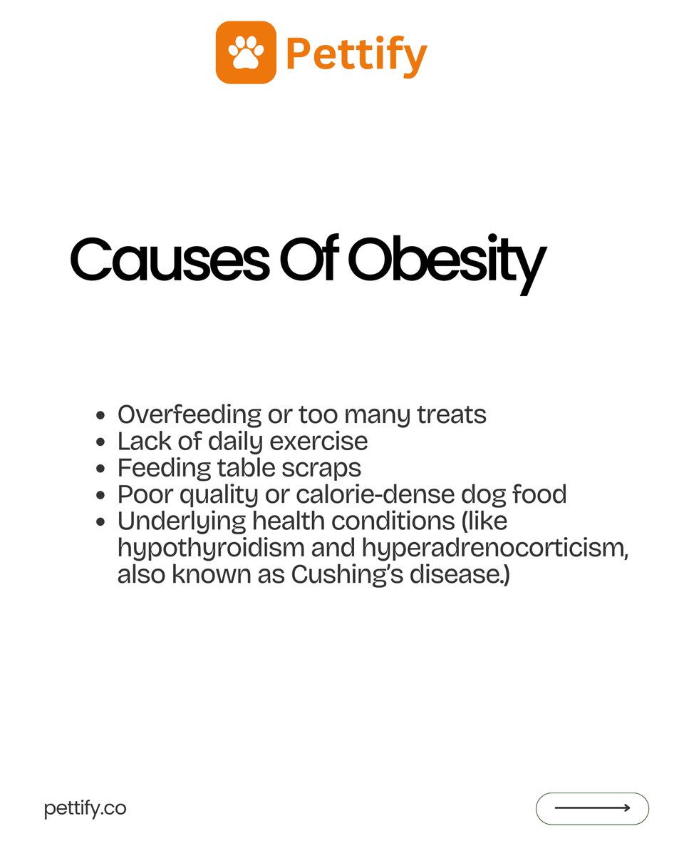 usepettify's tweet photo. Overfeeding your dog has consequences.
You can tell alot about your dog's health from their weight. https://t.co/iRRybU9XCZ