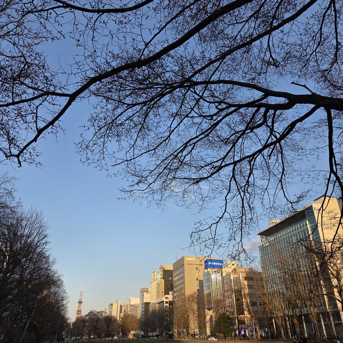 ishiko1127 tweet media