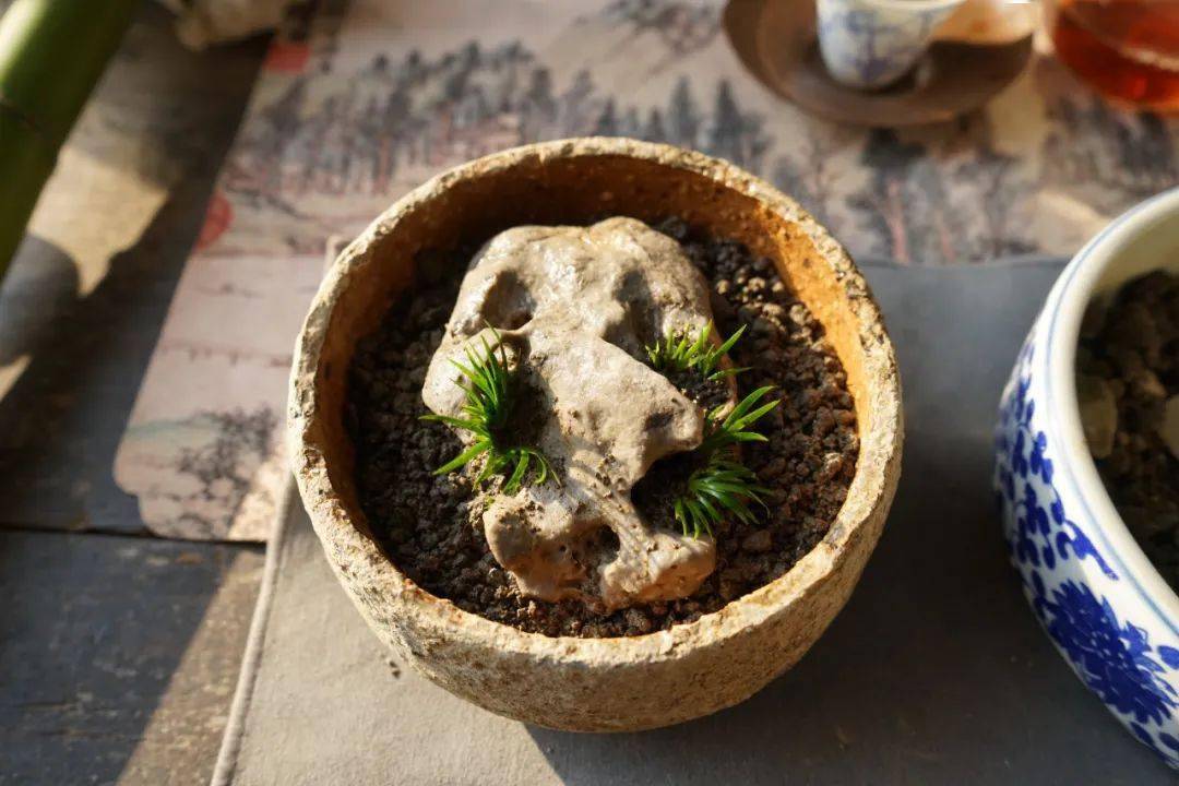 Sandra Ylisastigui tweet media