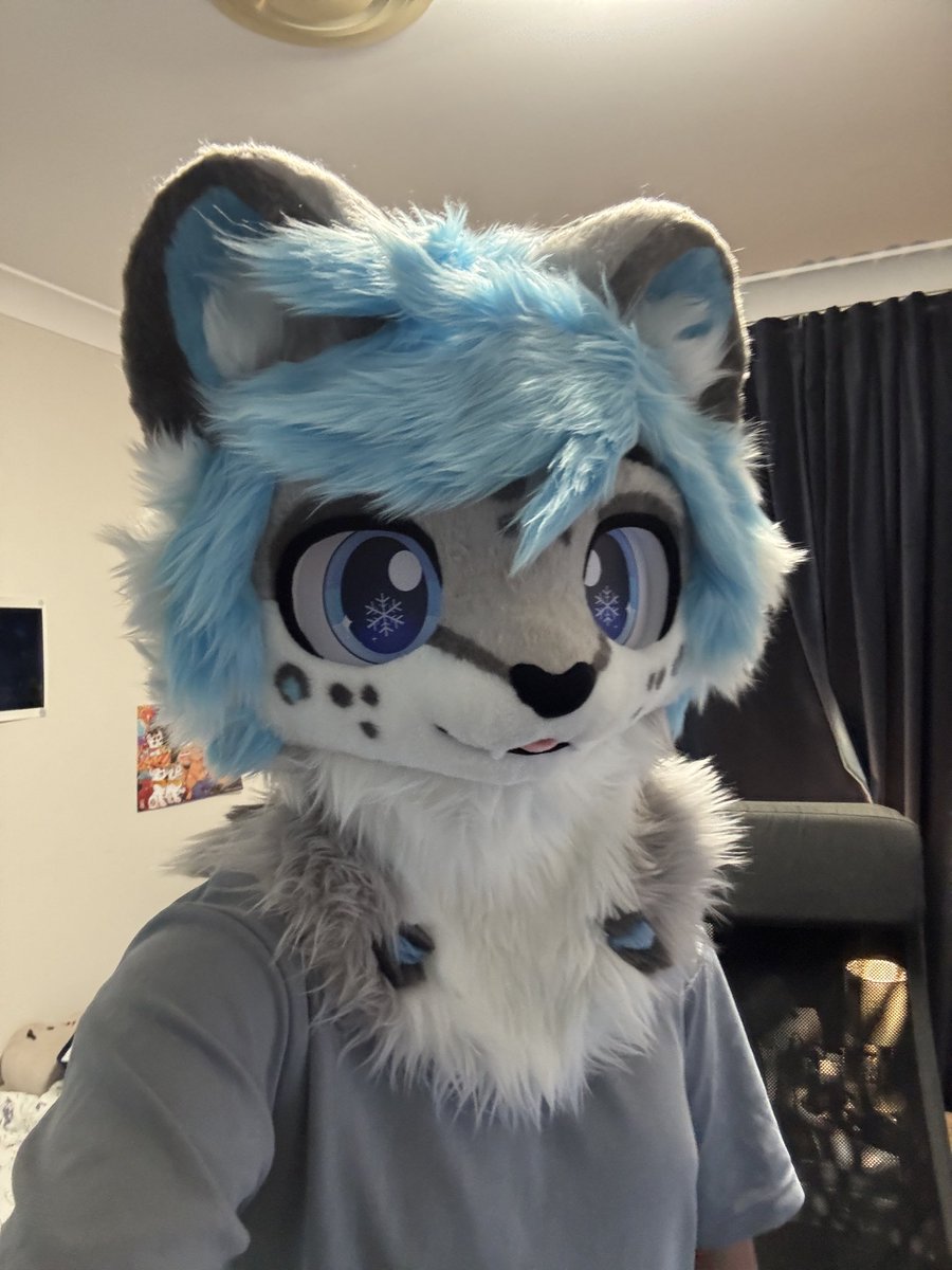 Snowy ❄️ 🔜furdu tweet media