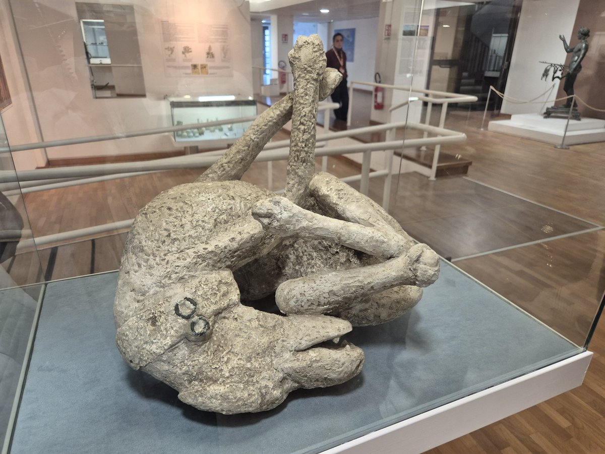 AugustoenSantander 🇺🇦❤️🇪🇦 tweet media