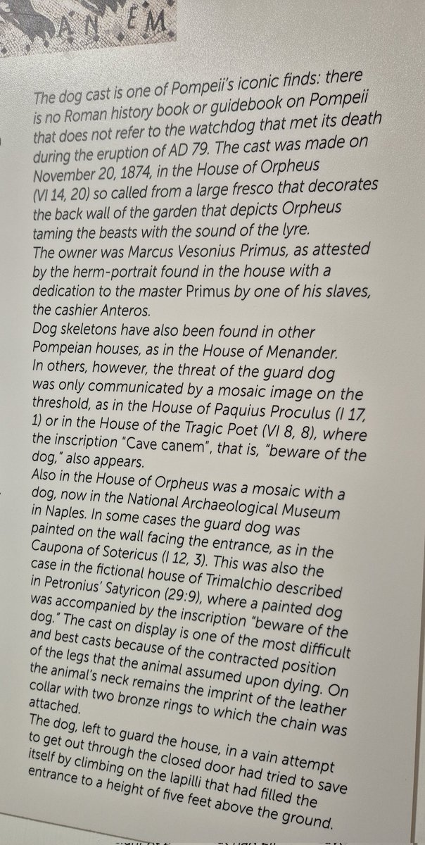 AugustoenSantander 🇺🇦❤️🇪🇦 tweet media