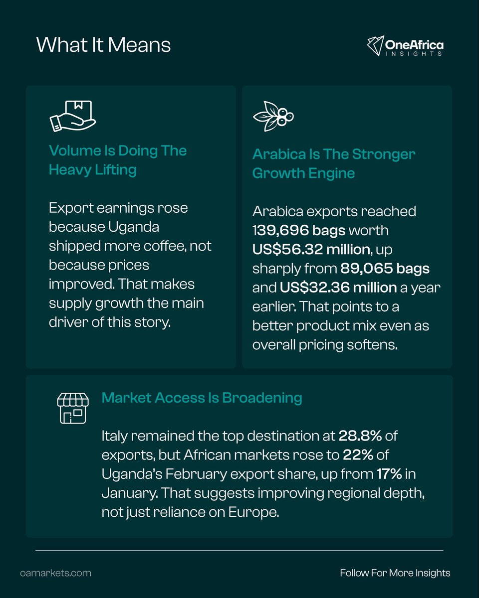 One Africa Insights tweet media