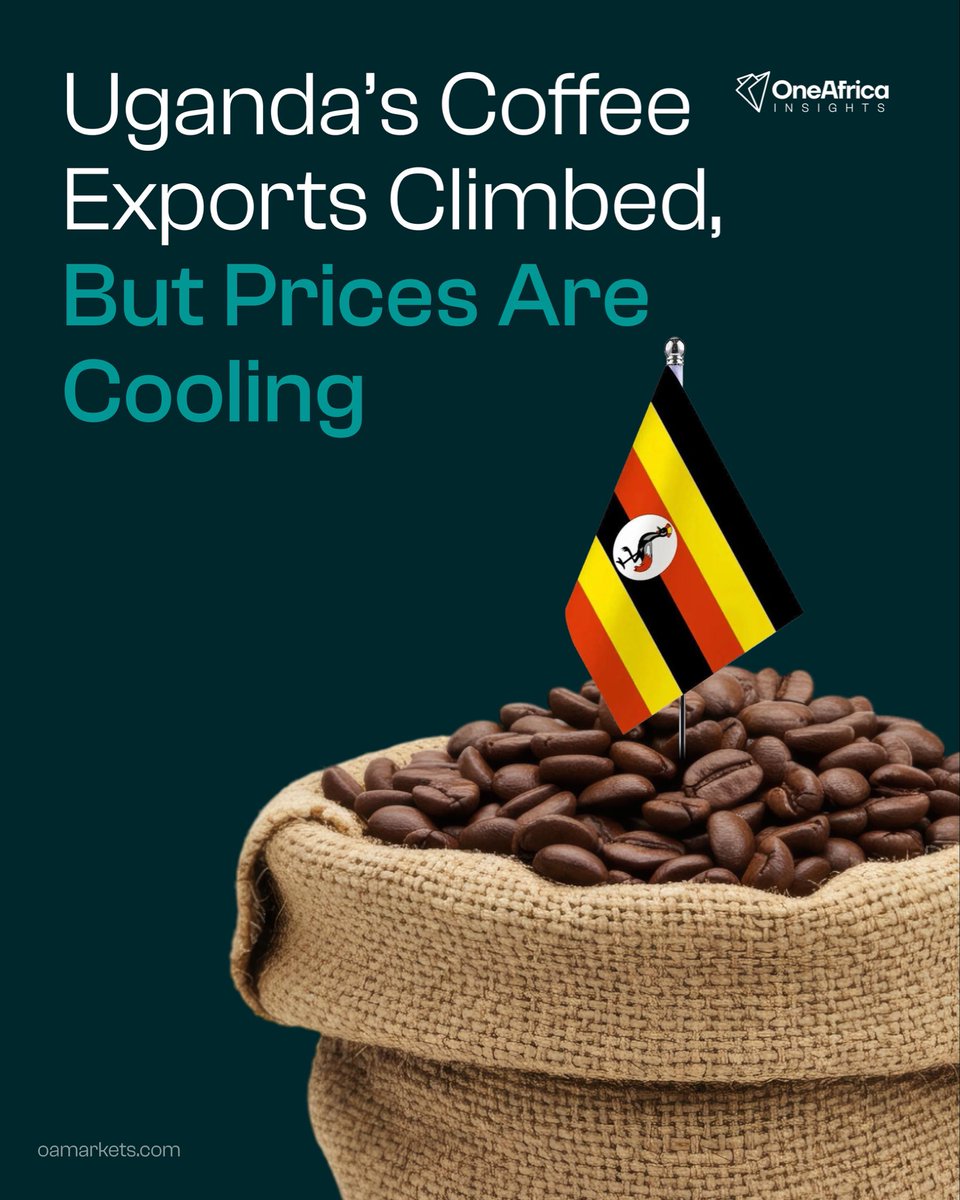 One Africa Insights tweet media