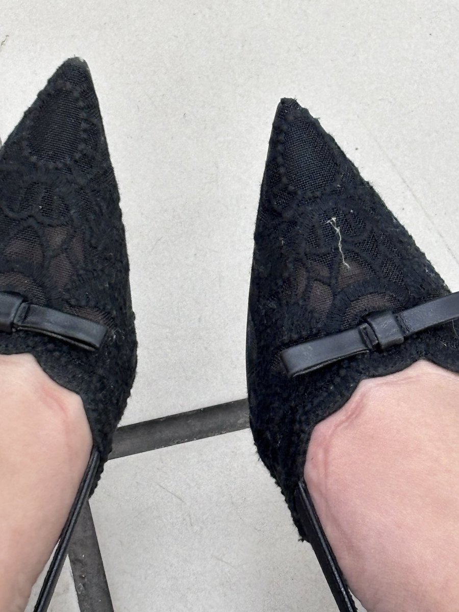 菲の观察日记 tweet media