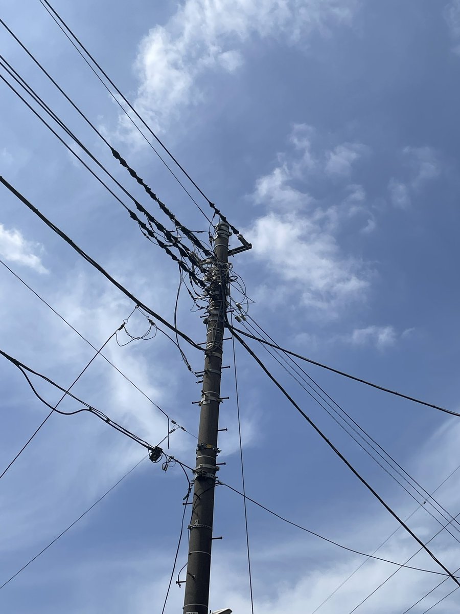 大和志保 tweet media