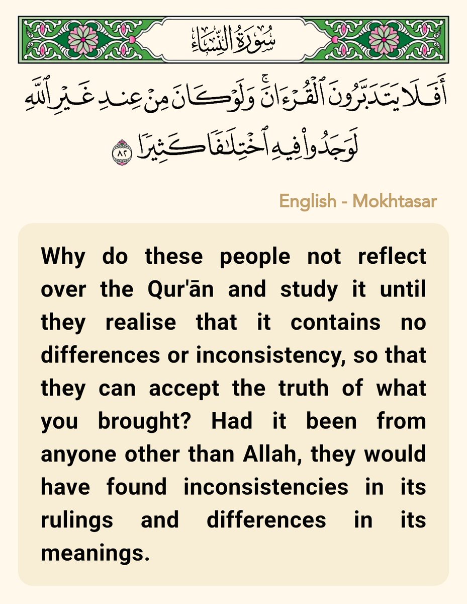 أبو زارع المدني tweet media