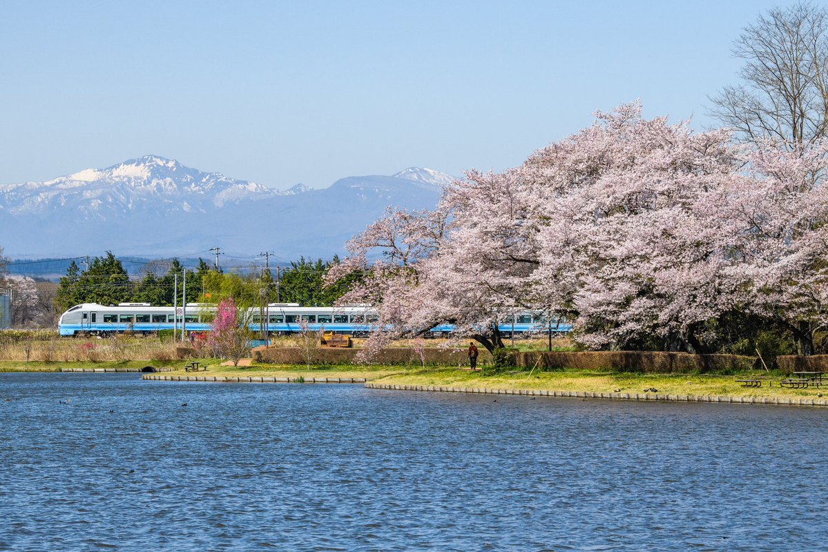 まっと tweet media