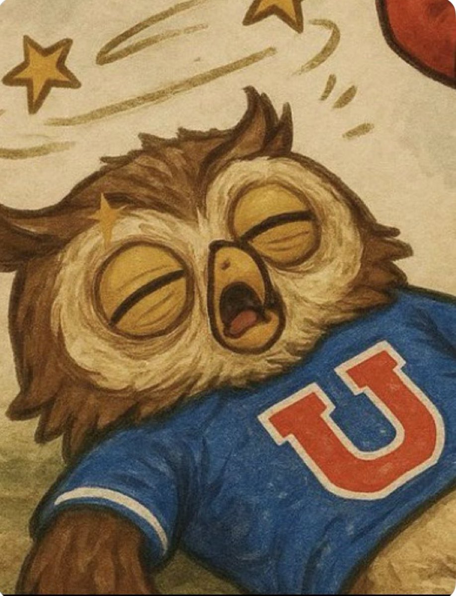 Soñador 2 tweet media