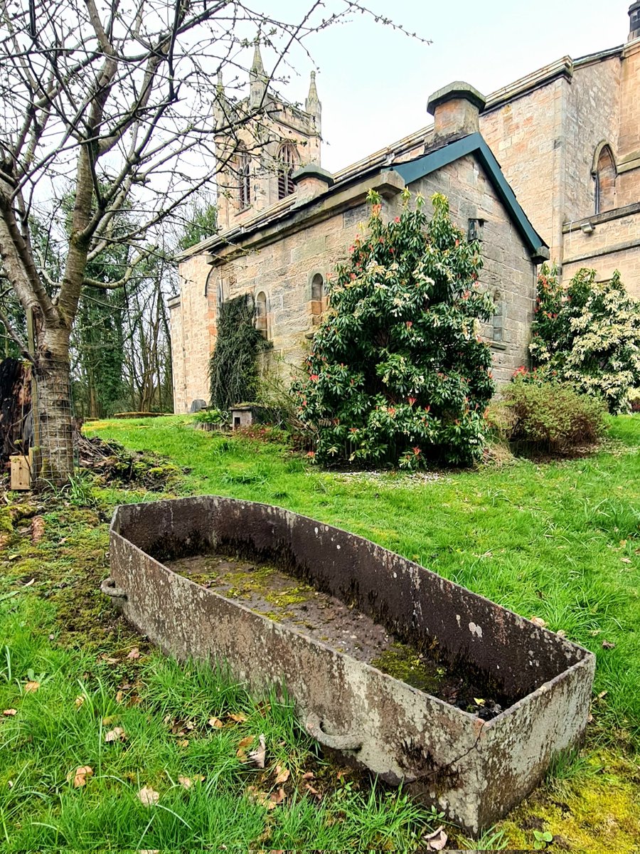 This Is My Glasgow tweet media