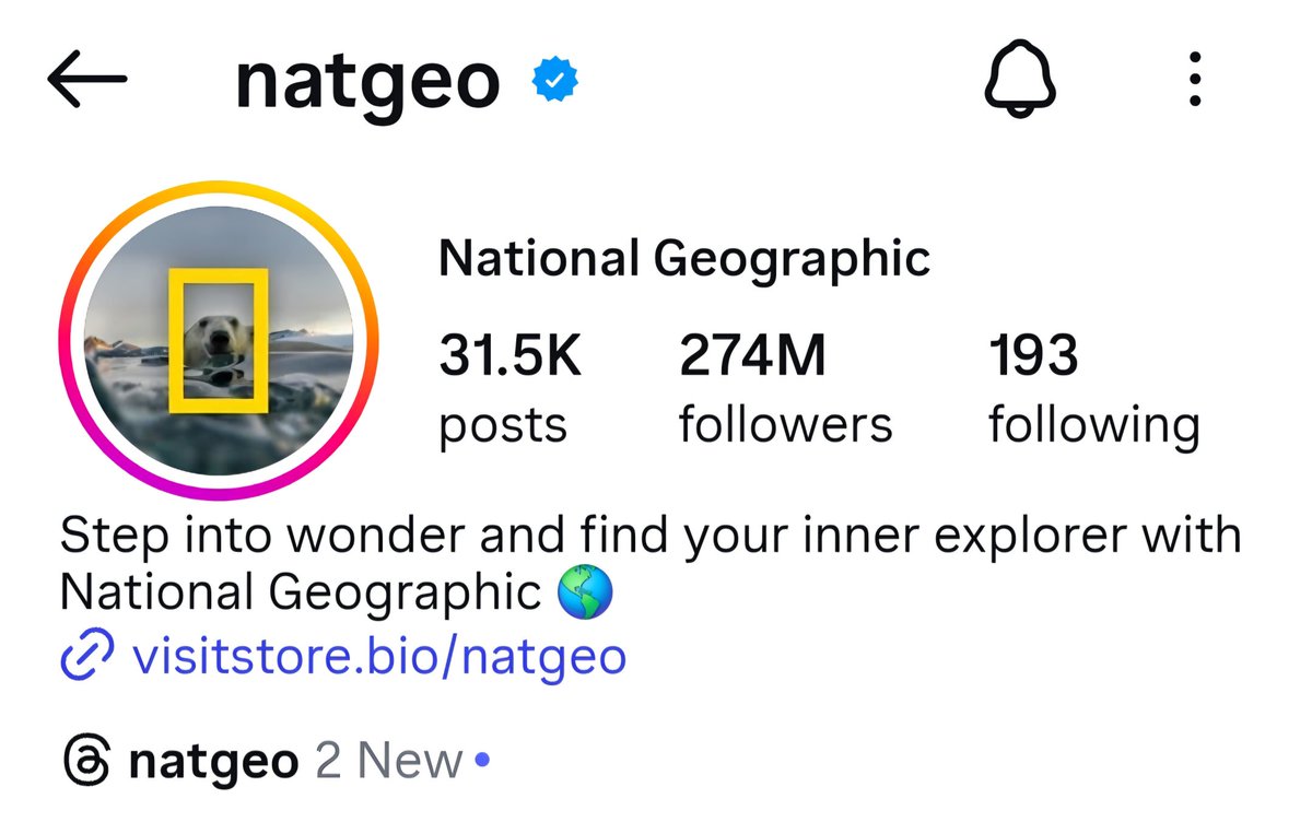 stockmando tweet media