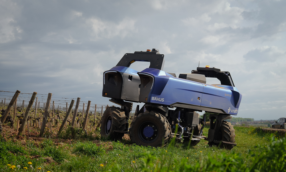 Jamie Goode tweet media