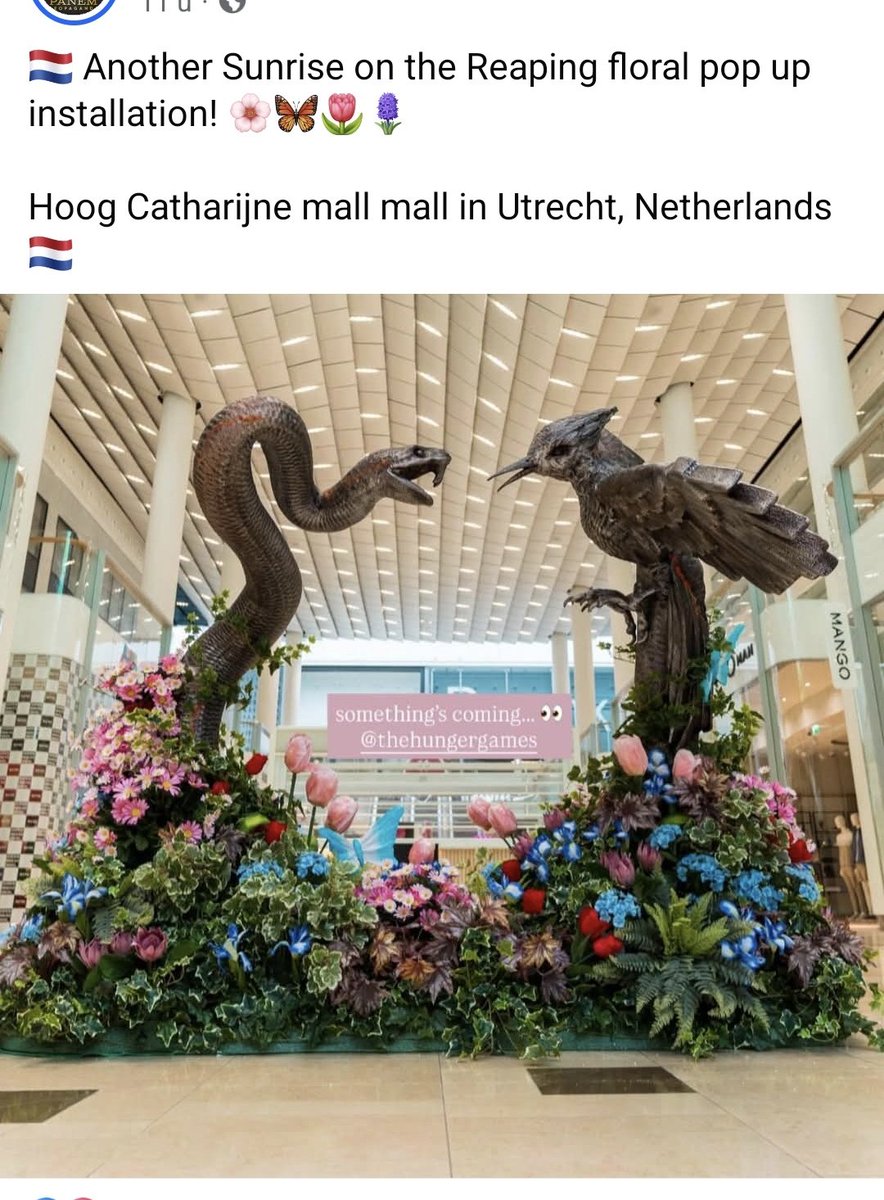 LisaMango0's tweet photo. Utrecht heeft een Sunrise On The Reaping Beeld😱😱😱😱 https://t.co/3yQpgXFuvk