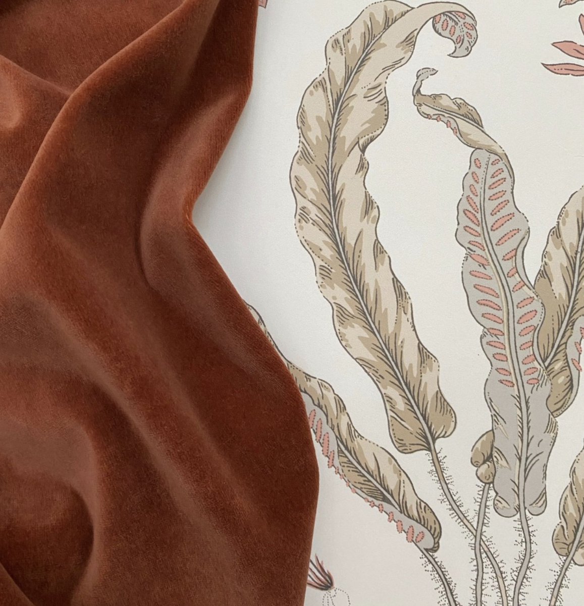 Curtaincraft Ltd tweet media