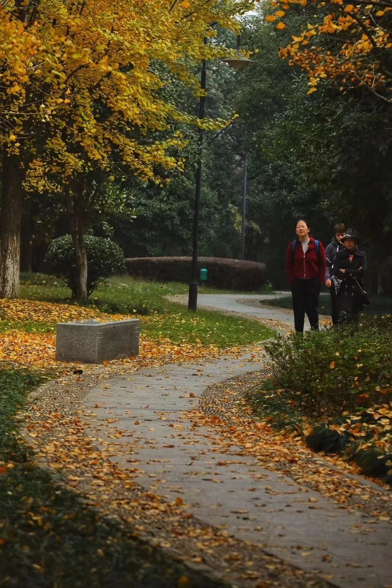 taha aimer tweet media