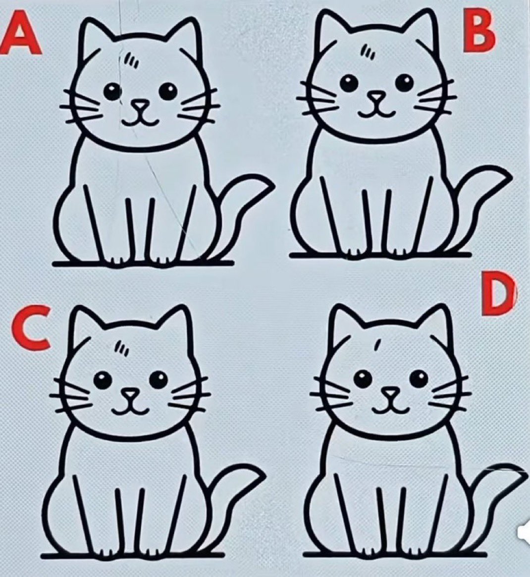 Jewel 🌗 tweet media