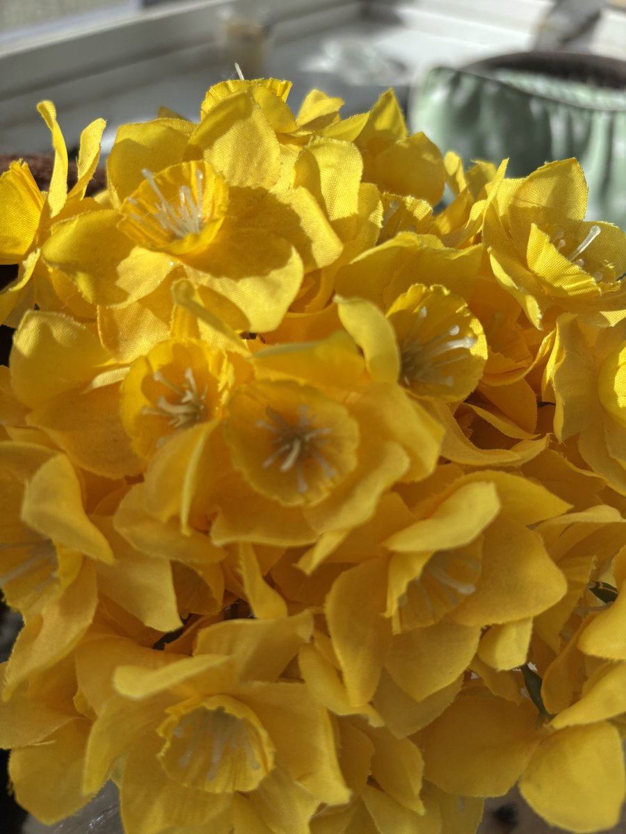 waddells74's tweet photo. 🌼💝🌼💝🌼💝🌼💝🌼
Wonderful Happy times 😀 💝🌼💝🌼💝
#AmazingApril 🌟 🌟 
😀 with us thanks 🙏 very much 💝🌼🫏🐄🐷🐑🐇🐔🦌🐶💝🌼💝🌼💝🌼💝🌼💝🌼💝🌼 https://t.co/riFSUMbTf6