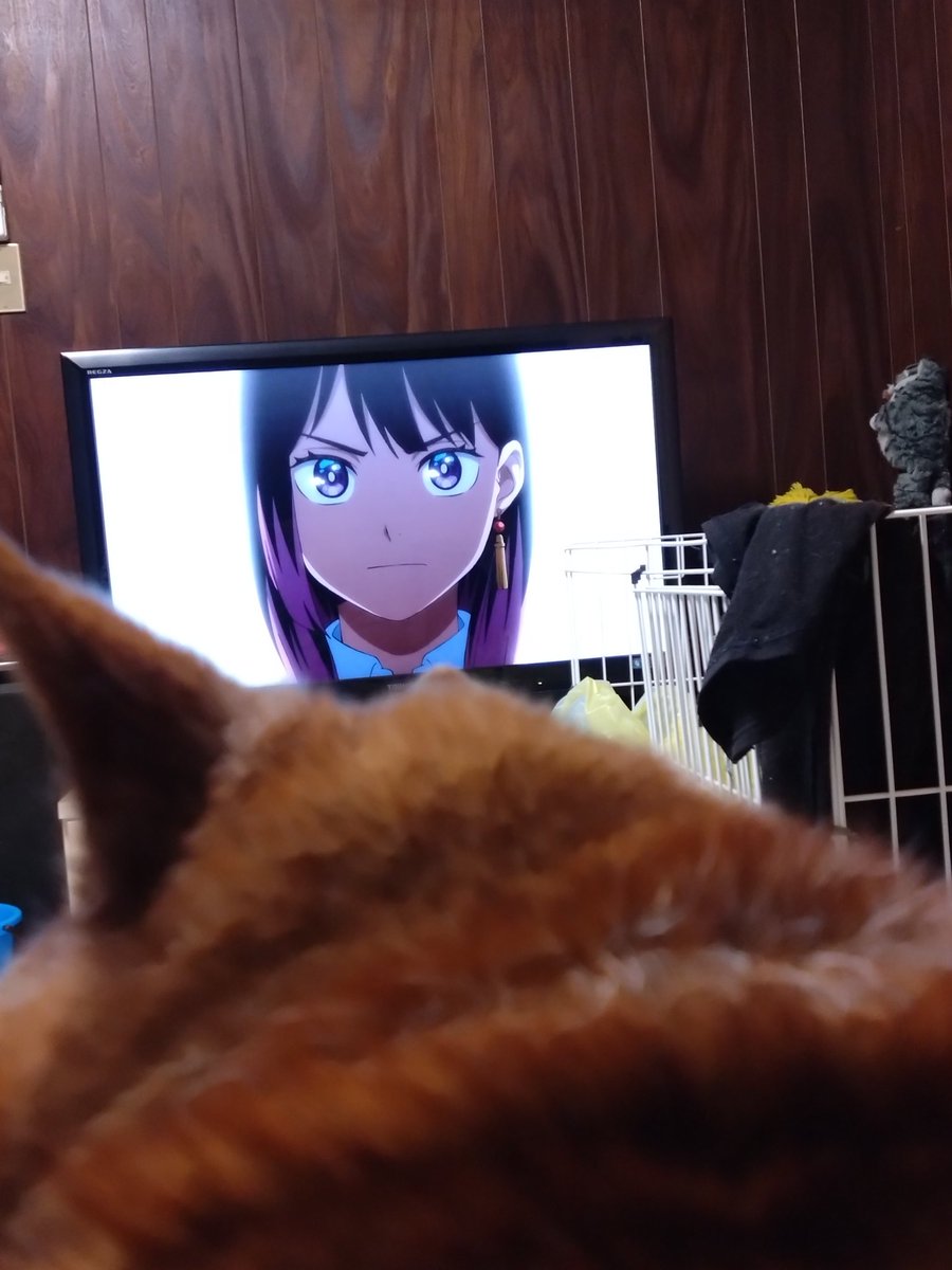 あかね噺面白すぎる
月曜日の更新待ちきれない